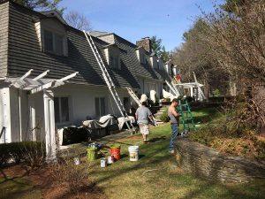 North Shore Painting Services